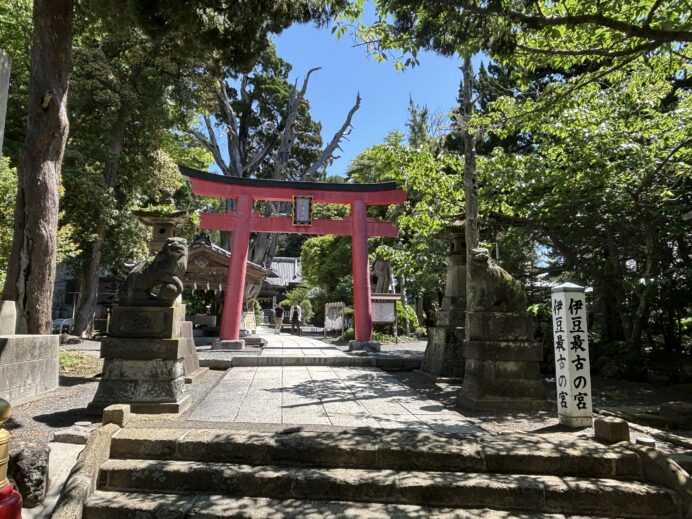 【御朱印】伊豆最古の神社⛩️青い海と鳥居が魅力の白浜神社